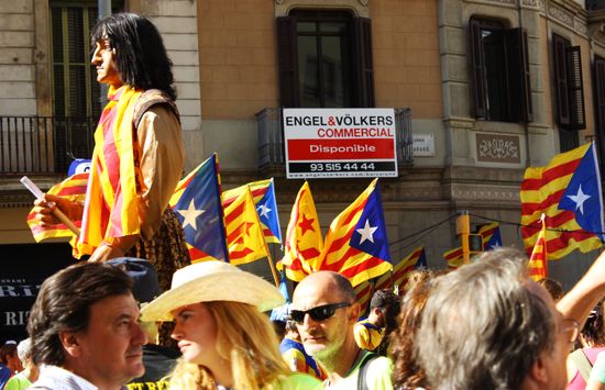Rally in support of referendum for independence in Barcelona