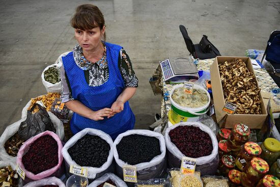 Third Import Substitution international specialized expo