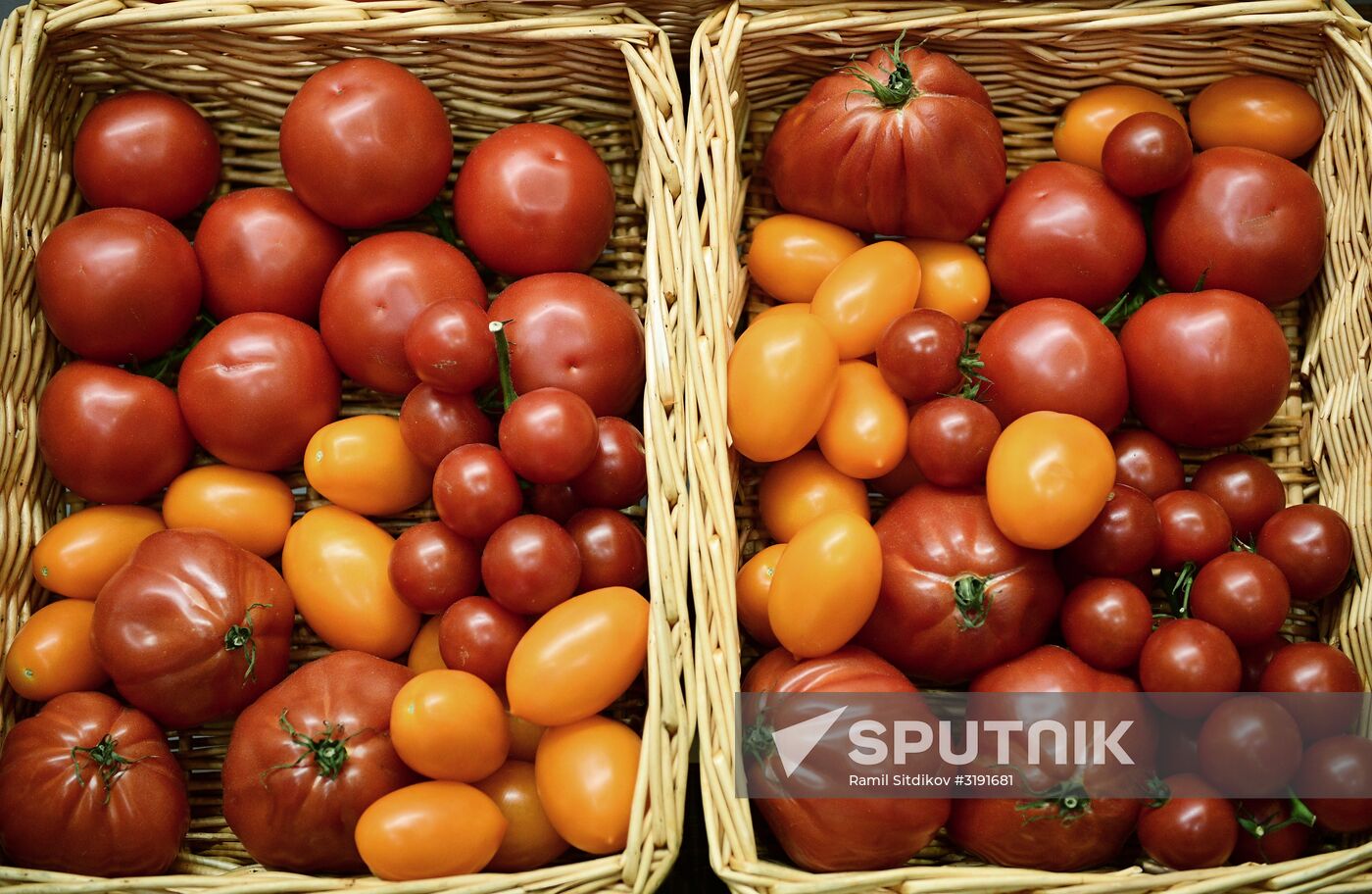 Third Import Substitution international specialized expo