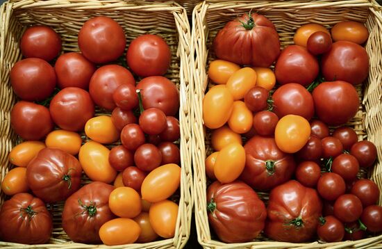 Third Import Substitution international specialized expo