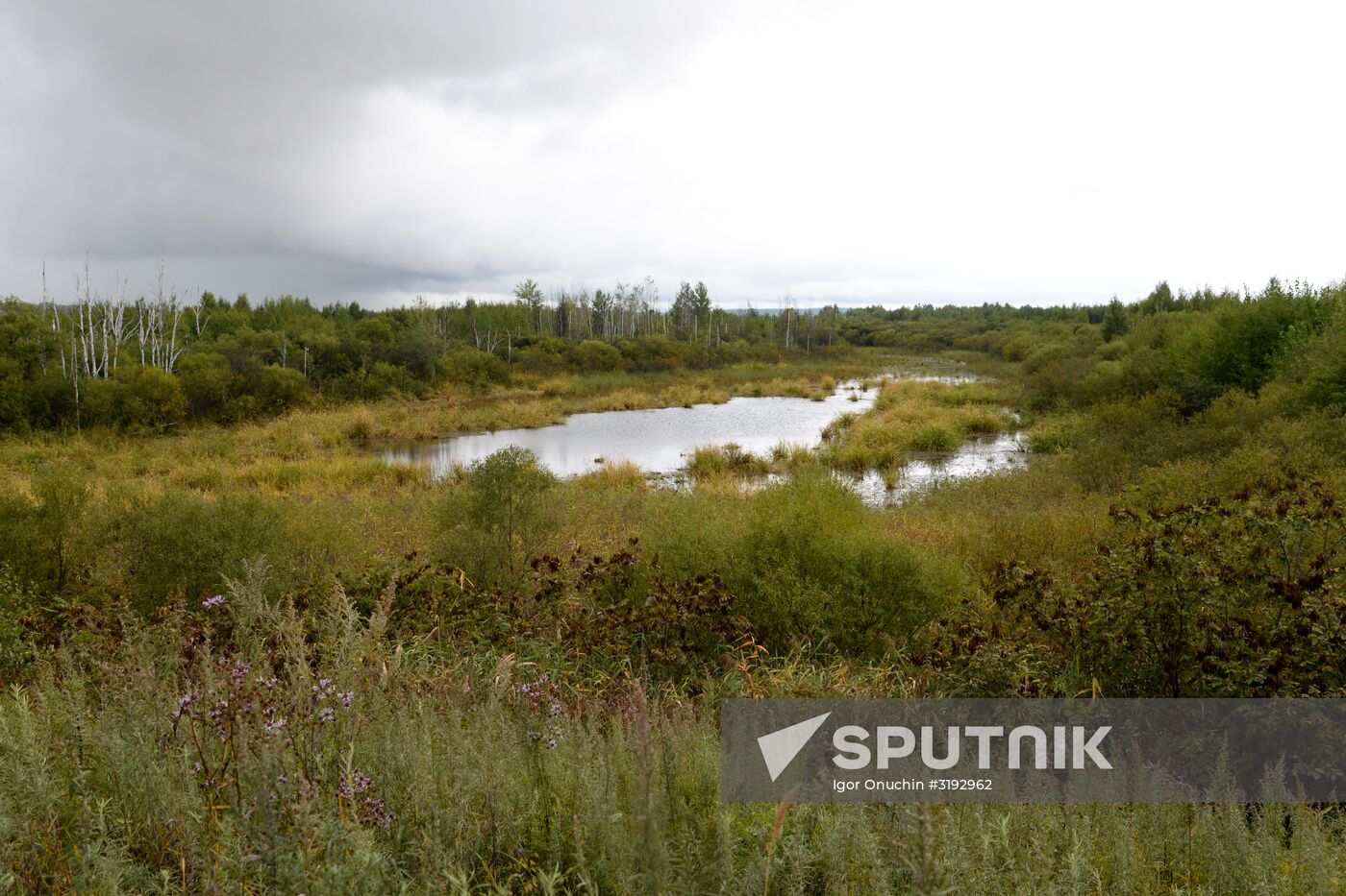 Bolshoi Ussuriysky Island in Khabarovsk Territory