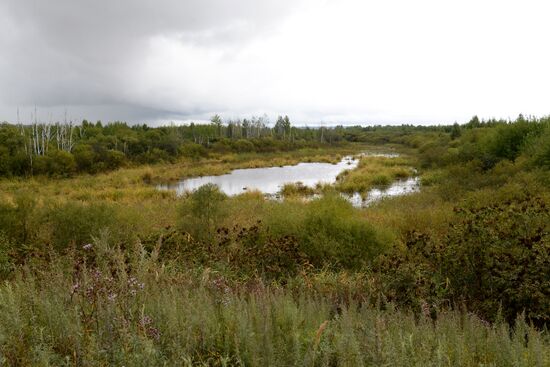 Bolshoi Ussuriysky Island in Khabarovsk Territory