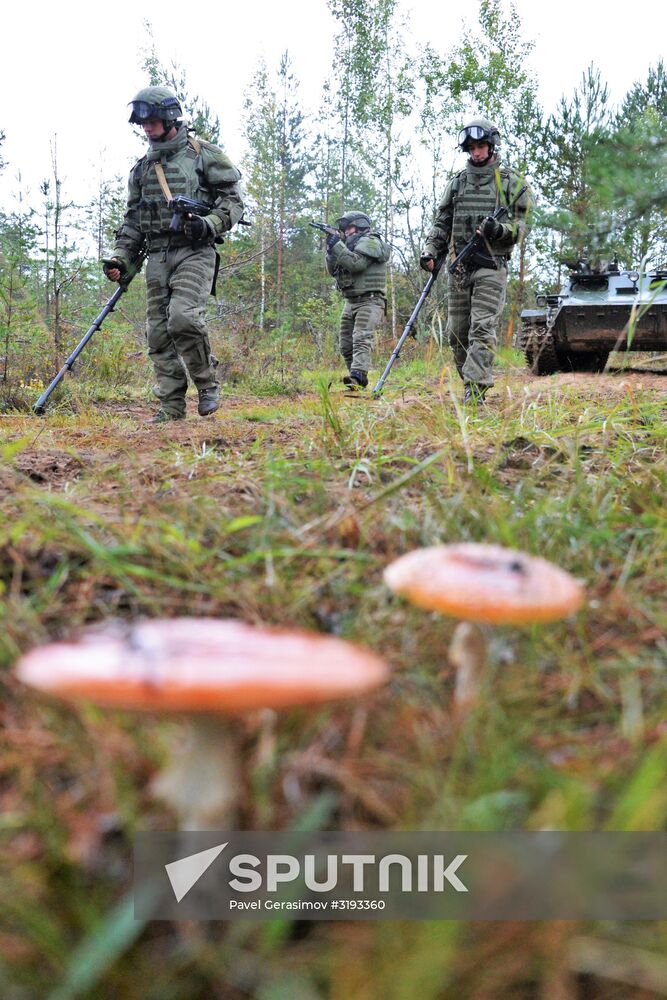 Military exercises in Leningrad Region