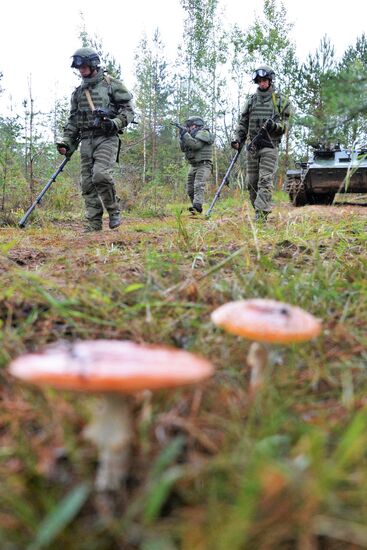 Military exercises in Leningrad Region