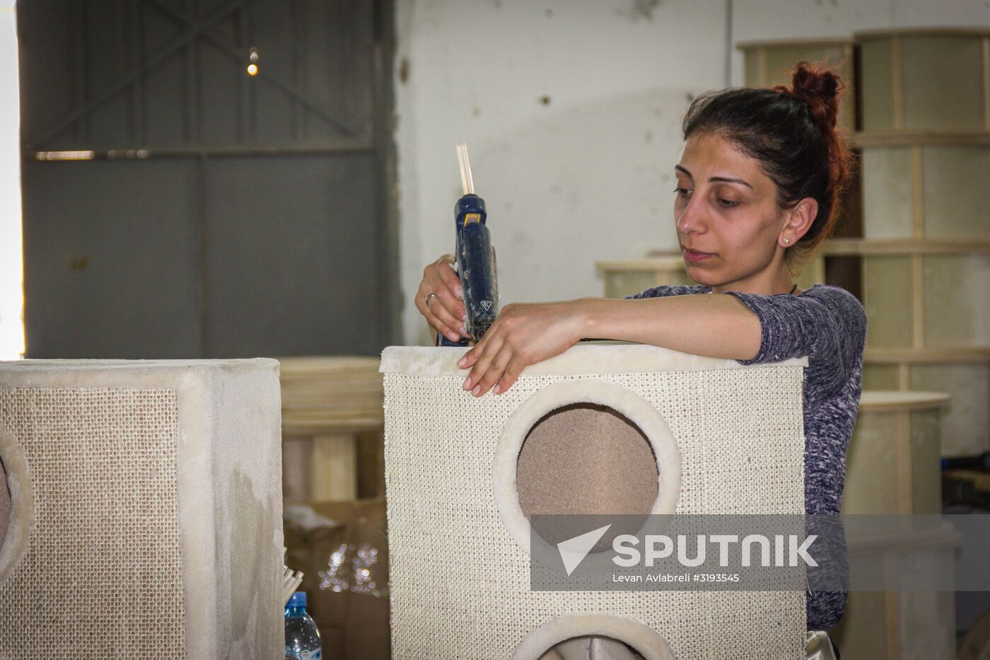Pet furniture production in Georgia