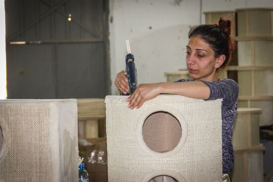 Pet furniture production in Georgia