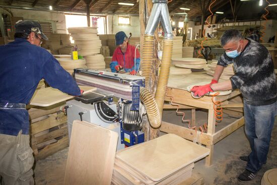 Pet furniture production in Georgia