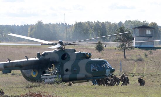 Rapid Trident-2017 military exercise in Lviv Region