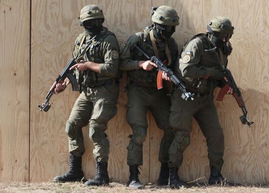 Rapid Trident-2017 military exercise in Lviv Region