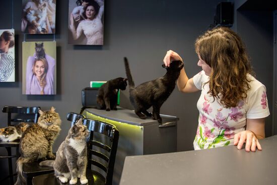 Hermitage cats were given away in St. Petersburg