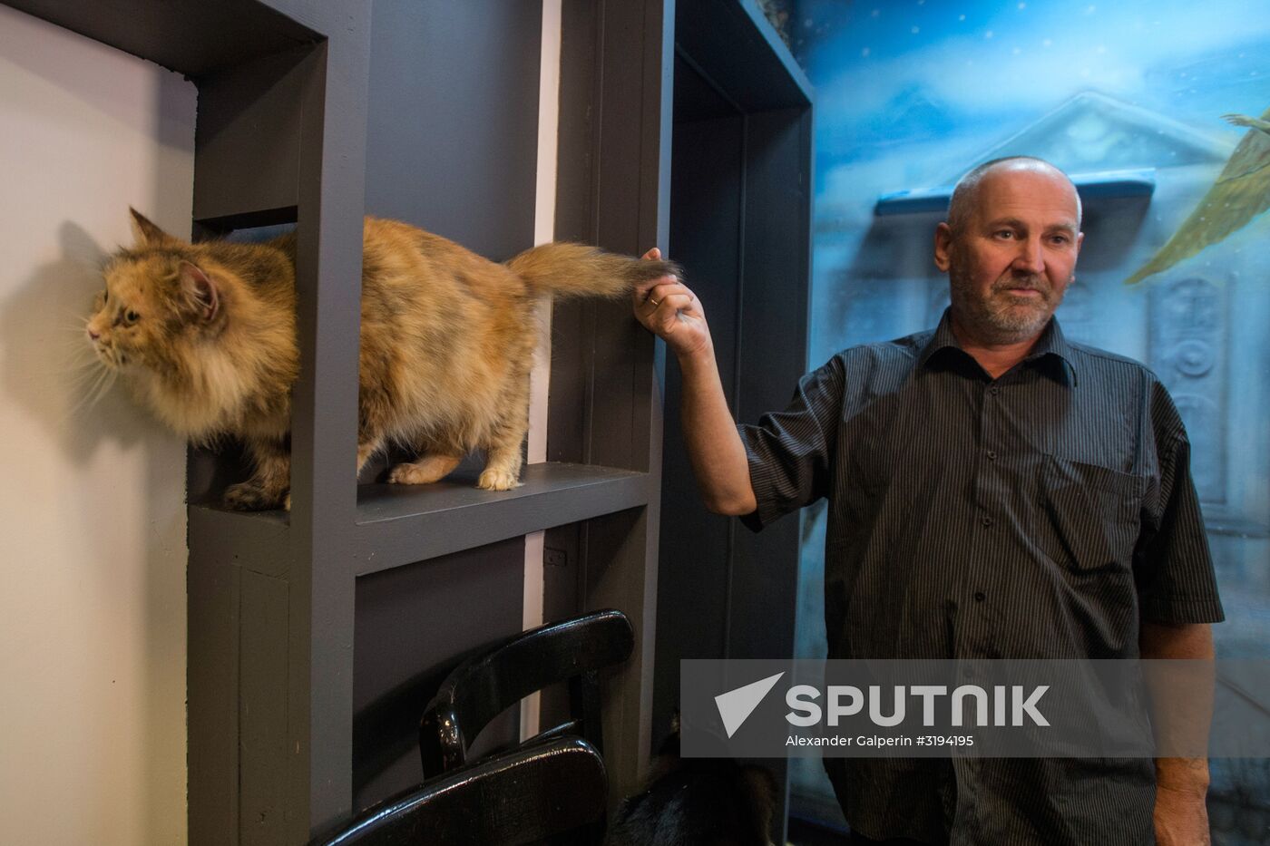 Hermitage cats were given away in St. Petersburg