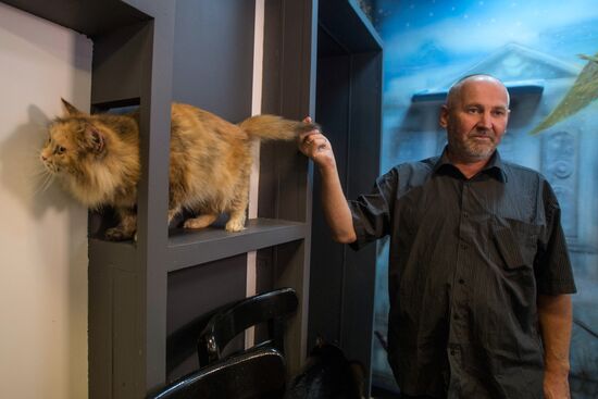 Hermitage cats were given away in St. Petersburg