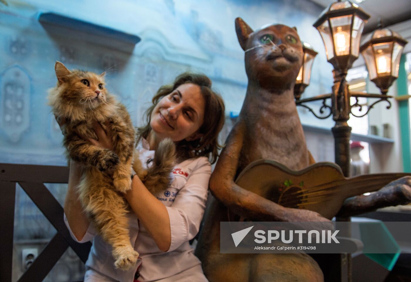 Hermitage cats were given away in St. Petersburg