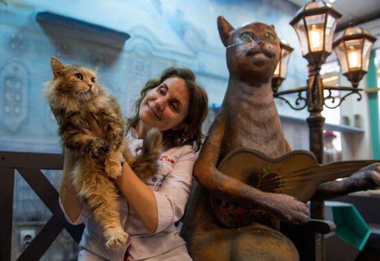 Hermitage cats were given away in St. Petersburg