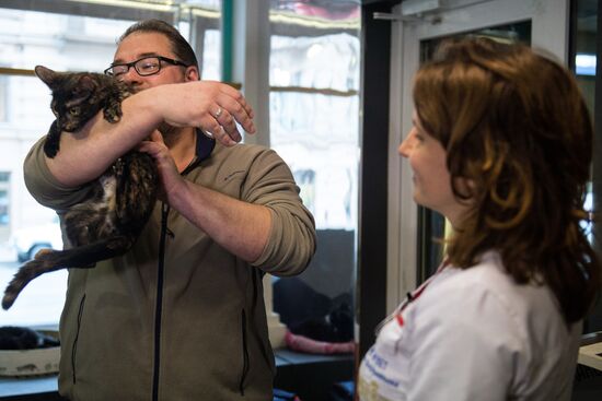 Hermitage cats were given away in St. Petersburg