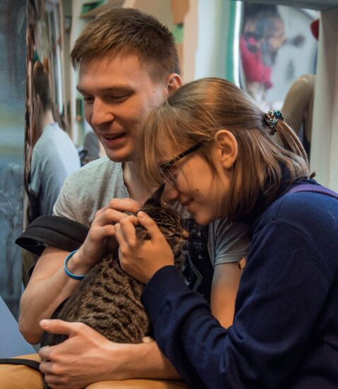 Hermitage cats were given away in St. Petersburg