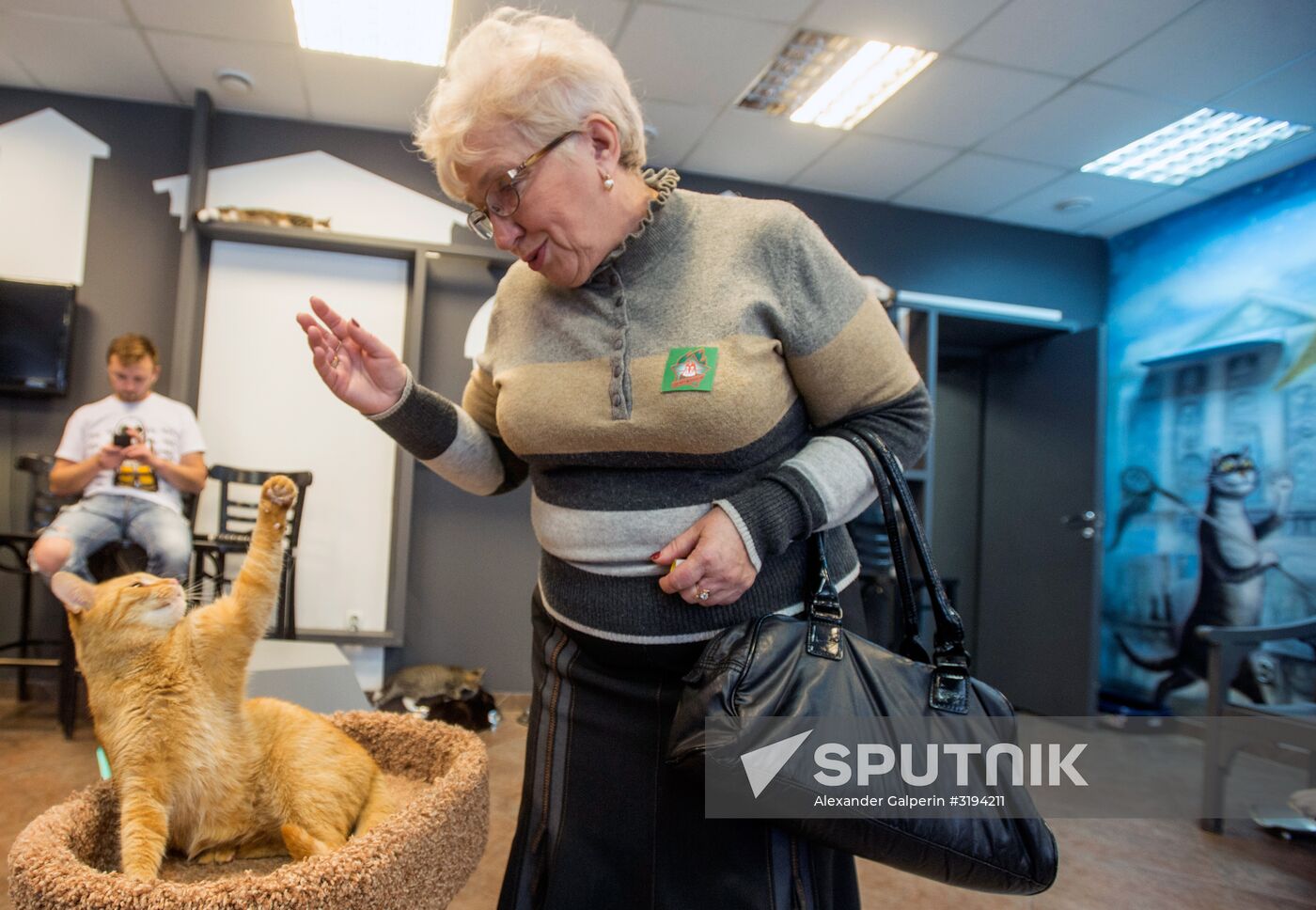 Hermitage cats were given away in St. Petersburg