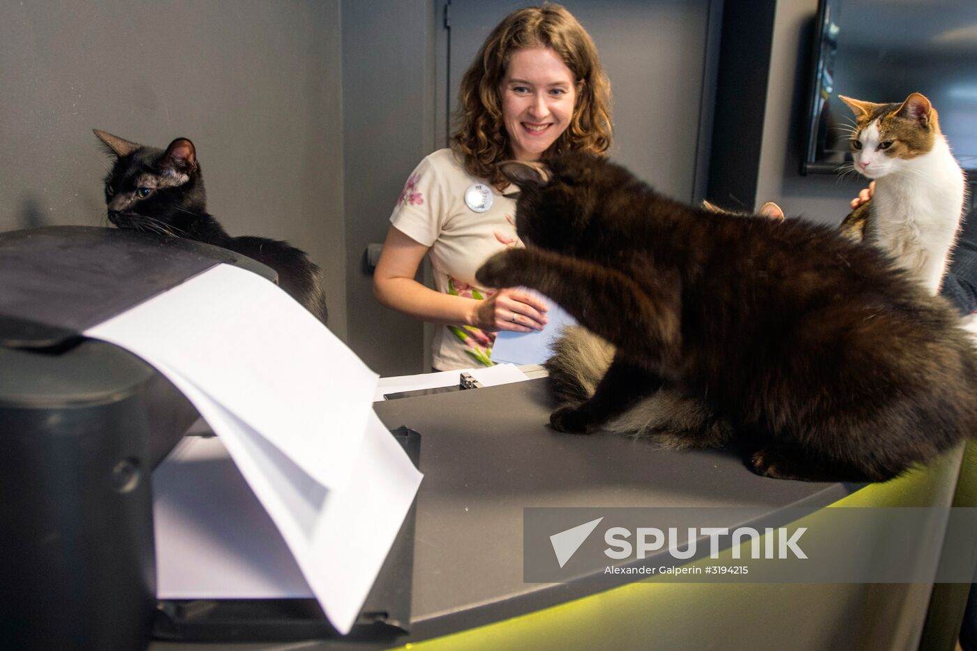 Hermitage cats were given away in St. Petersburg