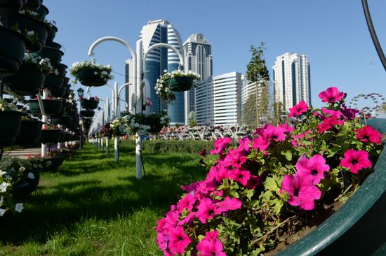 Flower park opens in Grozny