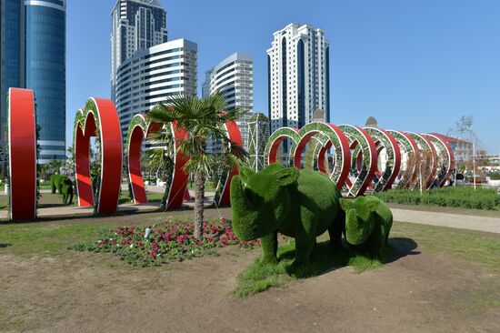Flower park opens in Grozny