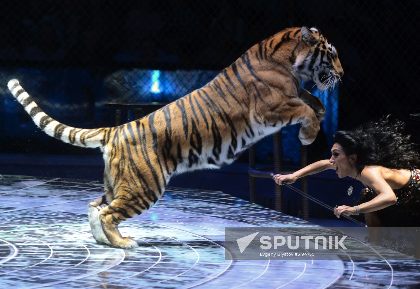 Gala show at World Festival of Circus Art IDOL