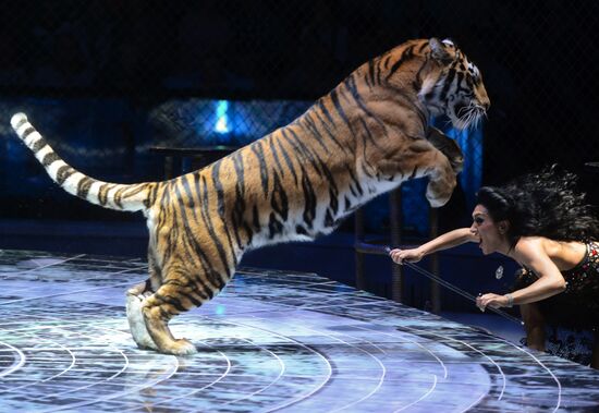 Gala show at World Festival of Circus Art IDOL