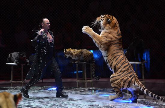 Gala show at World Festival of Circus Art IDOL