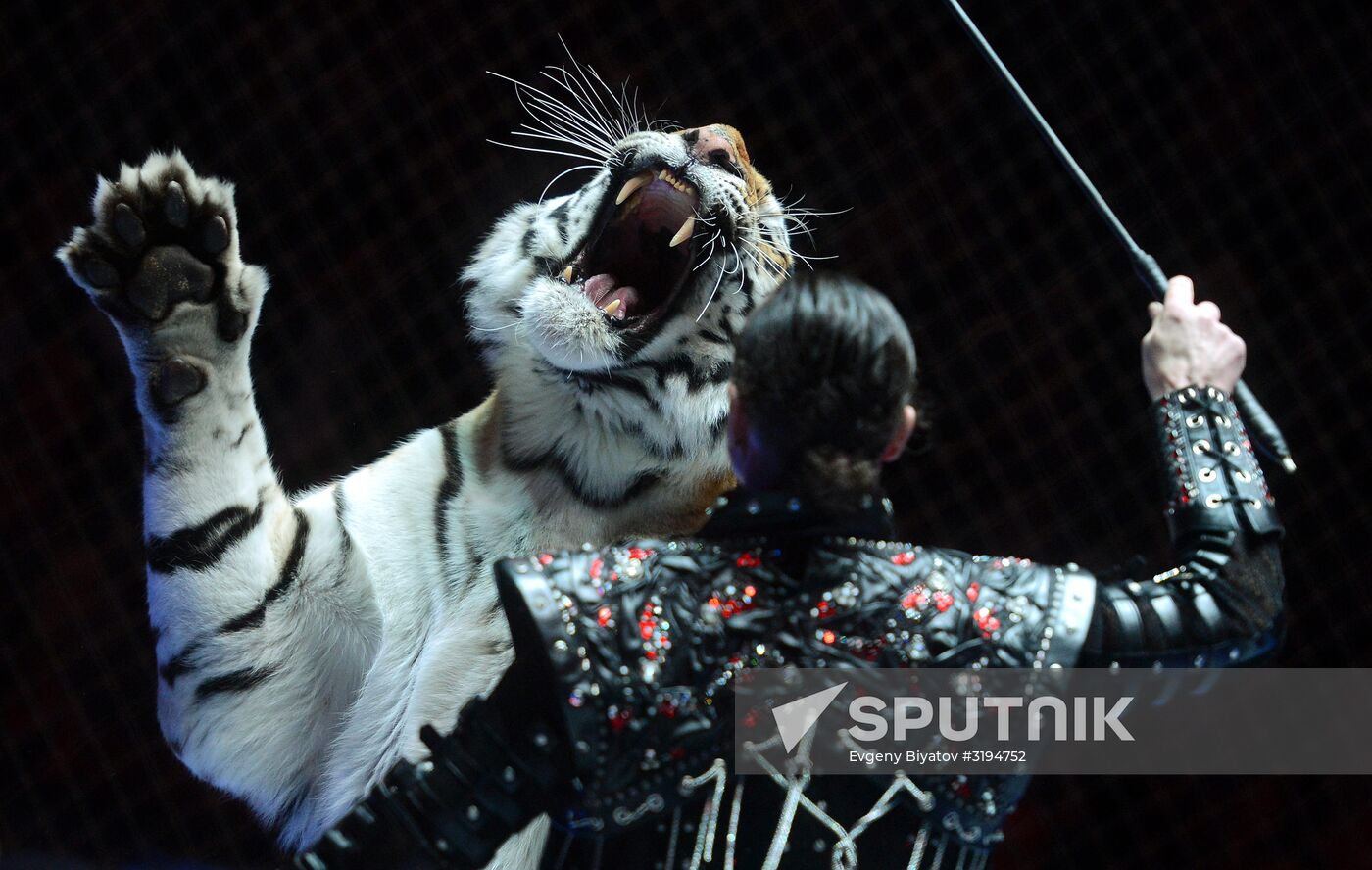 Gala show at World Festival of Circus Art IDOL