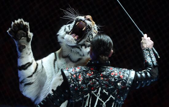 Gala show at World Festival of Circus Art IDOL