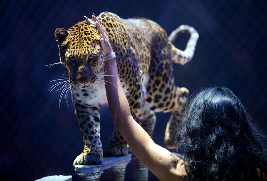 Gala show at World Festival of Circus Art IDOL