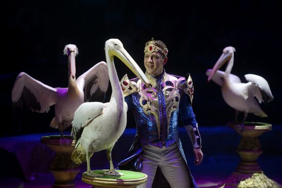 Gala show at World Festival of Circus Art IDOL