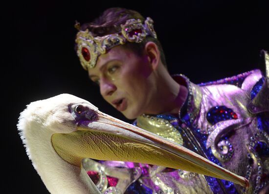 Gala show at World Festival of Circus Art IDOL