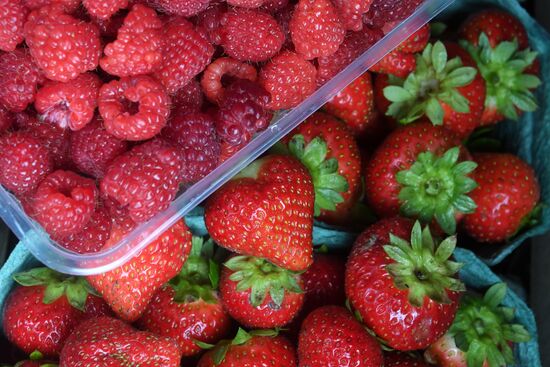 Picking up strawberries and raspberries in Tatarstan