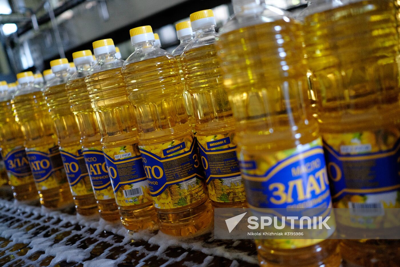 Vegetable oil production in Krasnodar Region