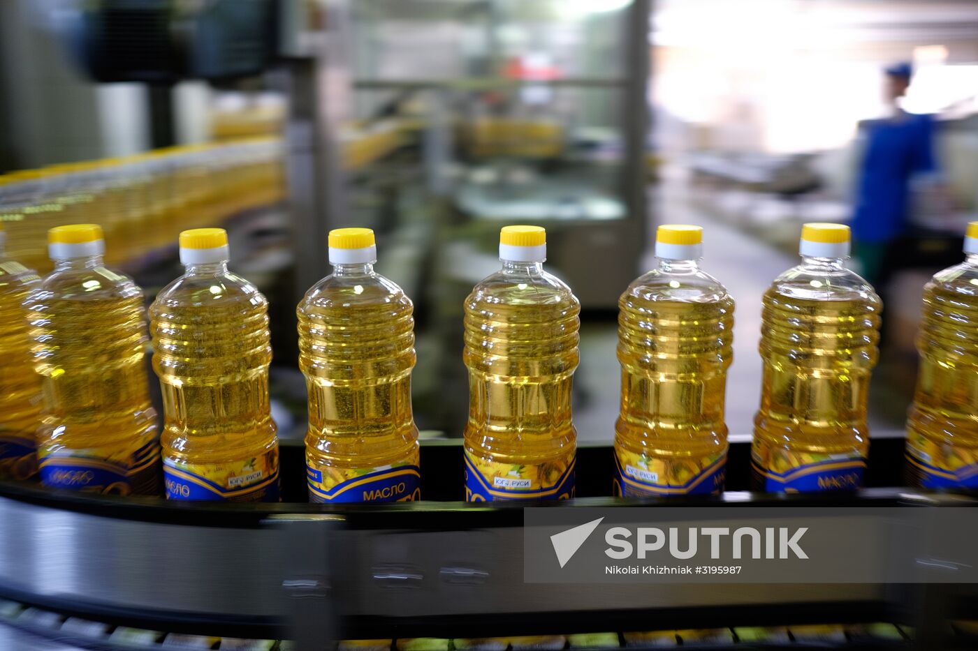 Vegetable oil production in Krasnodar Region