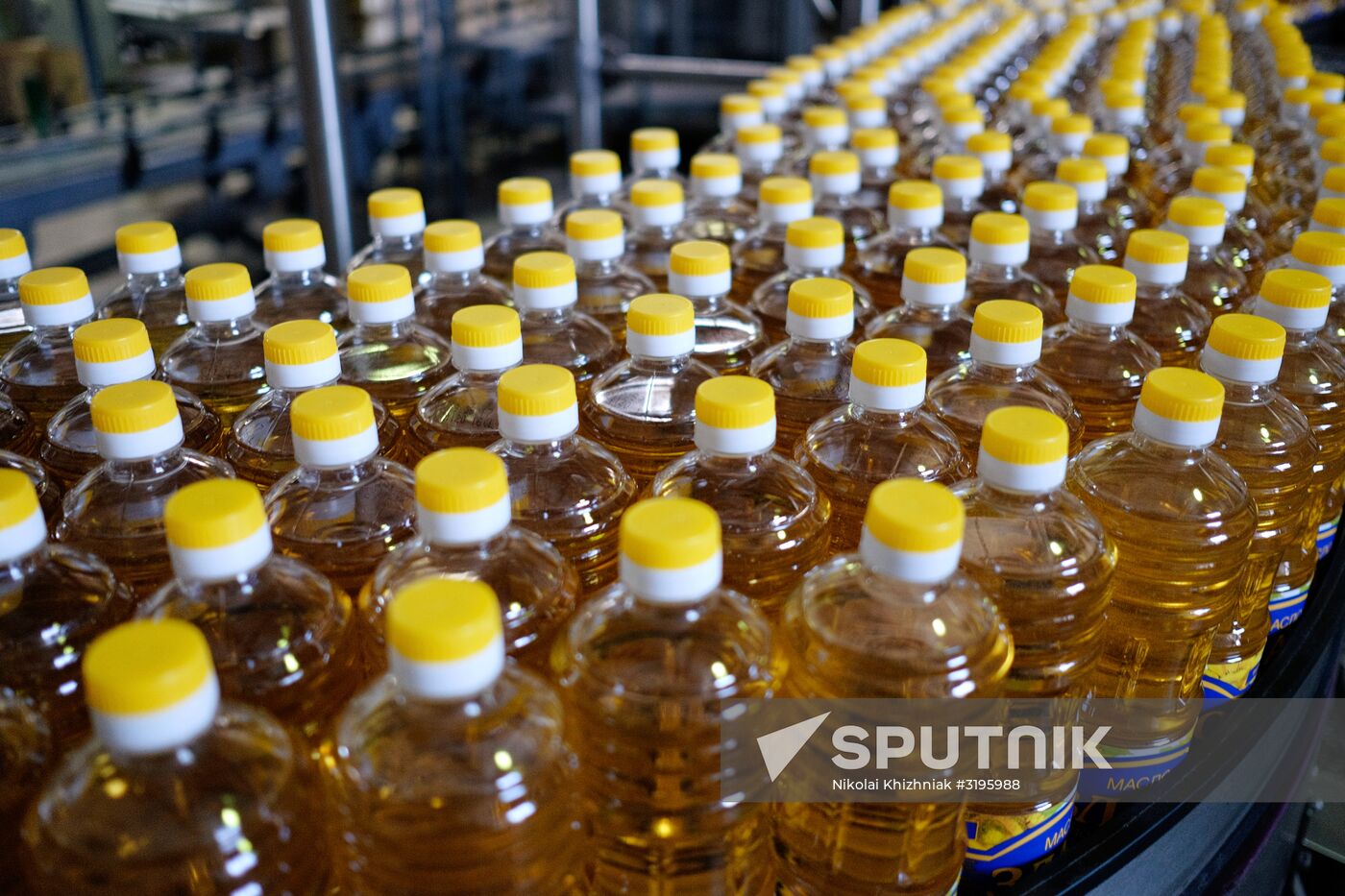 Vegetable oil production in Krasnodar Region