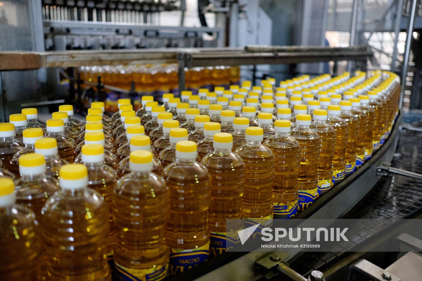 Vegetable oil production in Krasnodar Region