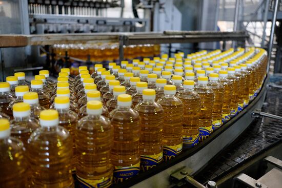 Vegetable oil production in Krasnodar Region