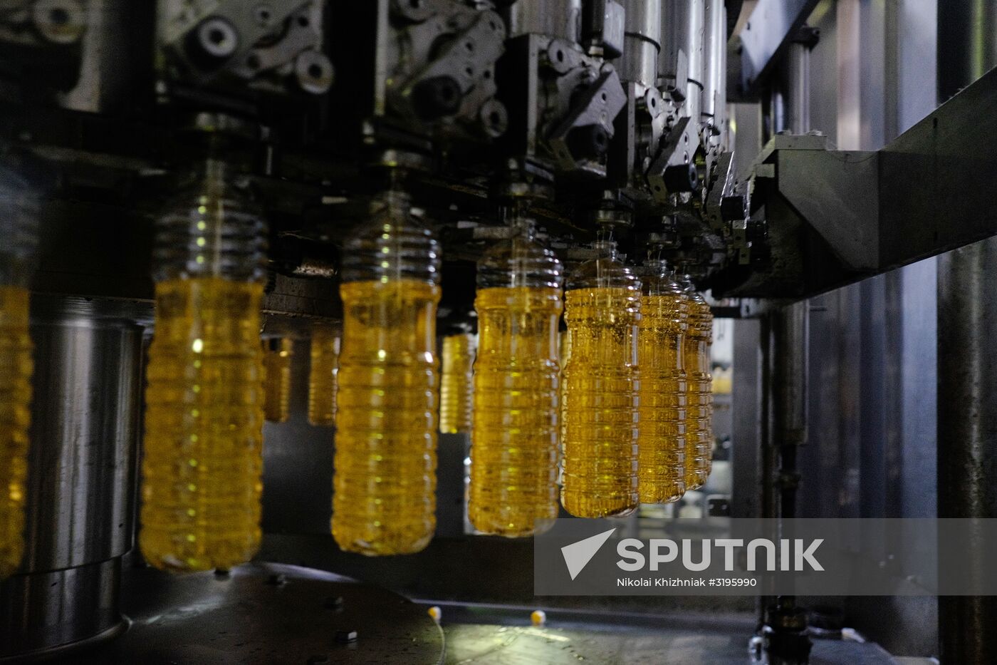 Vegetable oil production in Krasnodar Region