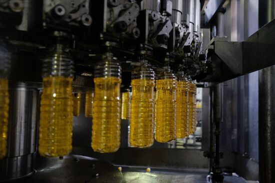 Vegetable oil production in Krasnodar Region