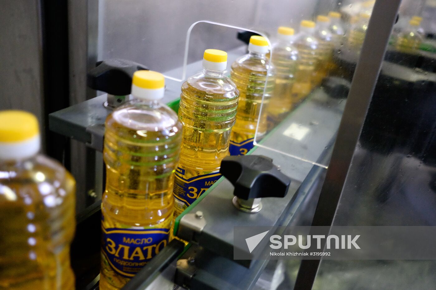 Vegetable oil production in Krasnodar Region