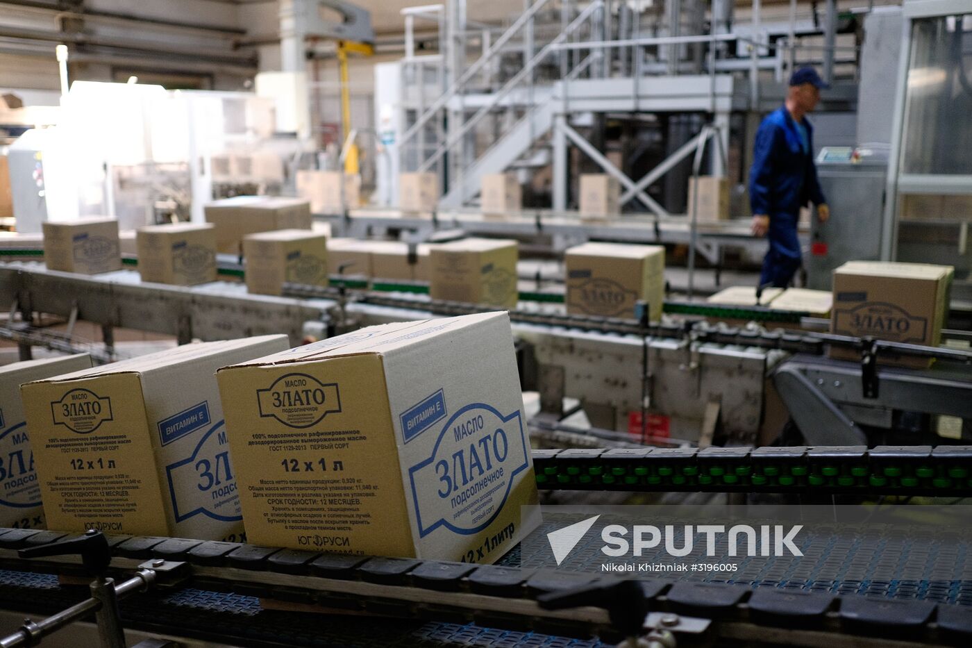 Vegetable oil production in Krasnodar Region