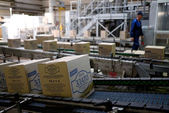 Vegetable oil production in Krasnodar Region