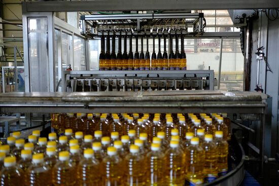 Vegetable oil production in Krasnodar Region
