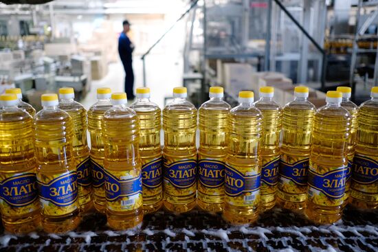 Vegetable oil production in Krasnodar Region