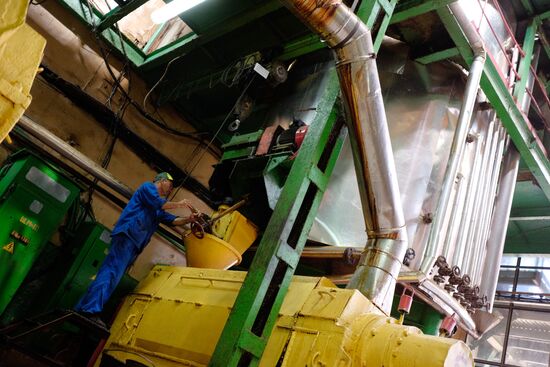 Vegetable oil production in Krasnodar Region