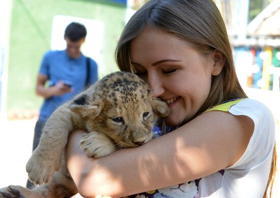 One of two newborn lion cubs shown at Stavropol Zoo