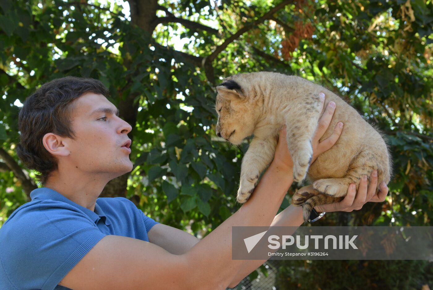 One of two newborn lion cubs shown at Stavropol Zoo