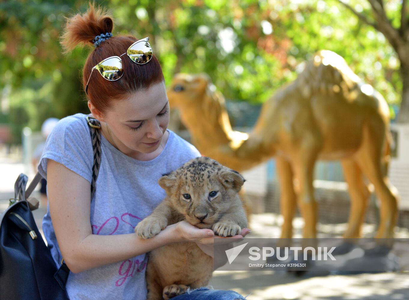 One of two newborn lion cubs shown at Stavropol Zoo