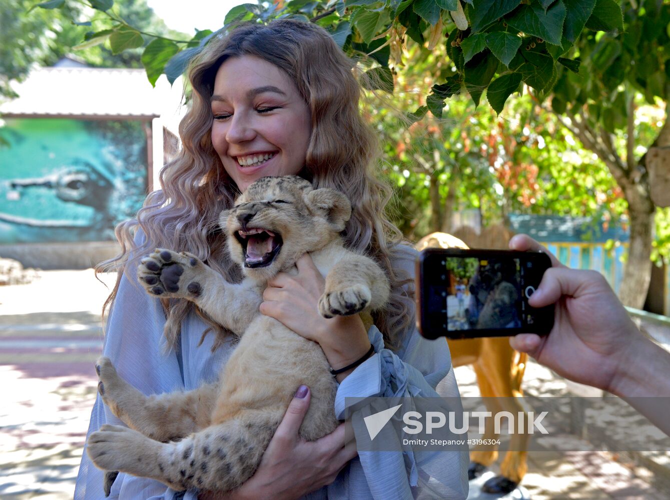 One of two newborn lion cubs shown at Stavropol Zoo